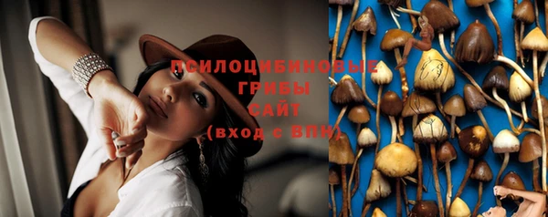 jwh Майский