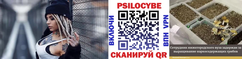 Псилоцибиновые грибы MAGIC MUSHROOMS Опочка